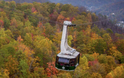 Seasonal Attractions