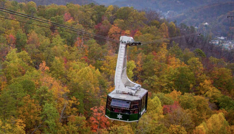 Seasonal Attractions