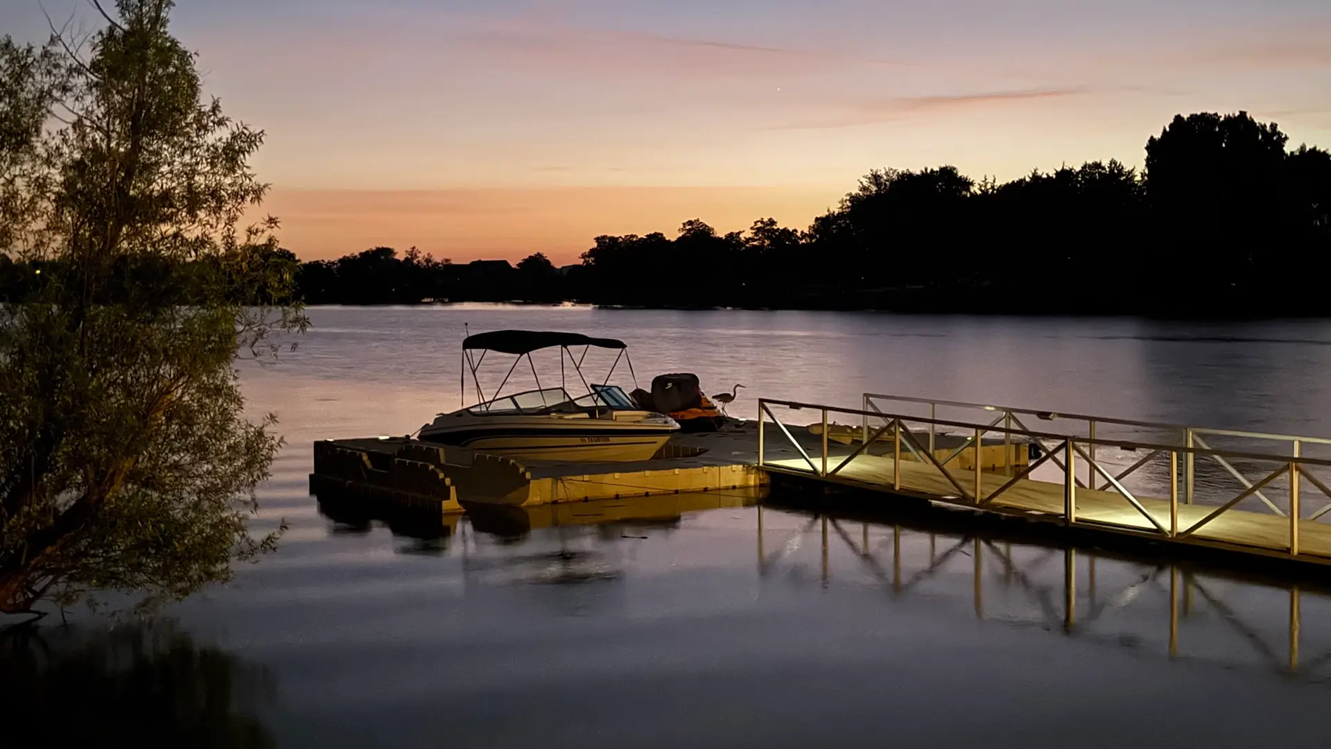 A great blue heron standing on the floating dock beside the boat at twilight