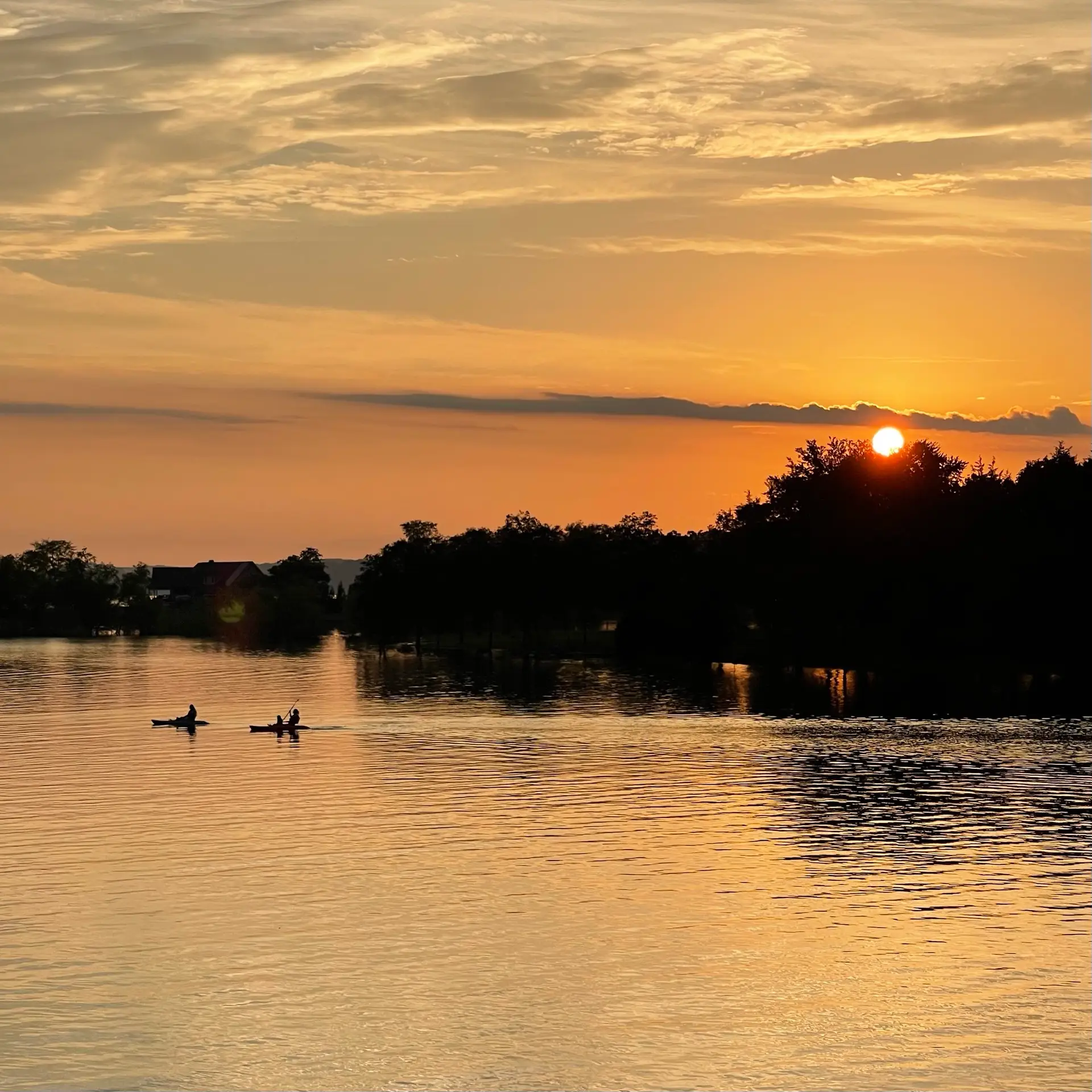 Two kayakers gliding through a golden sunset cove on Douglas Lake