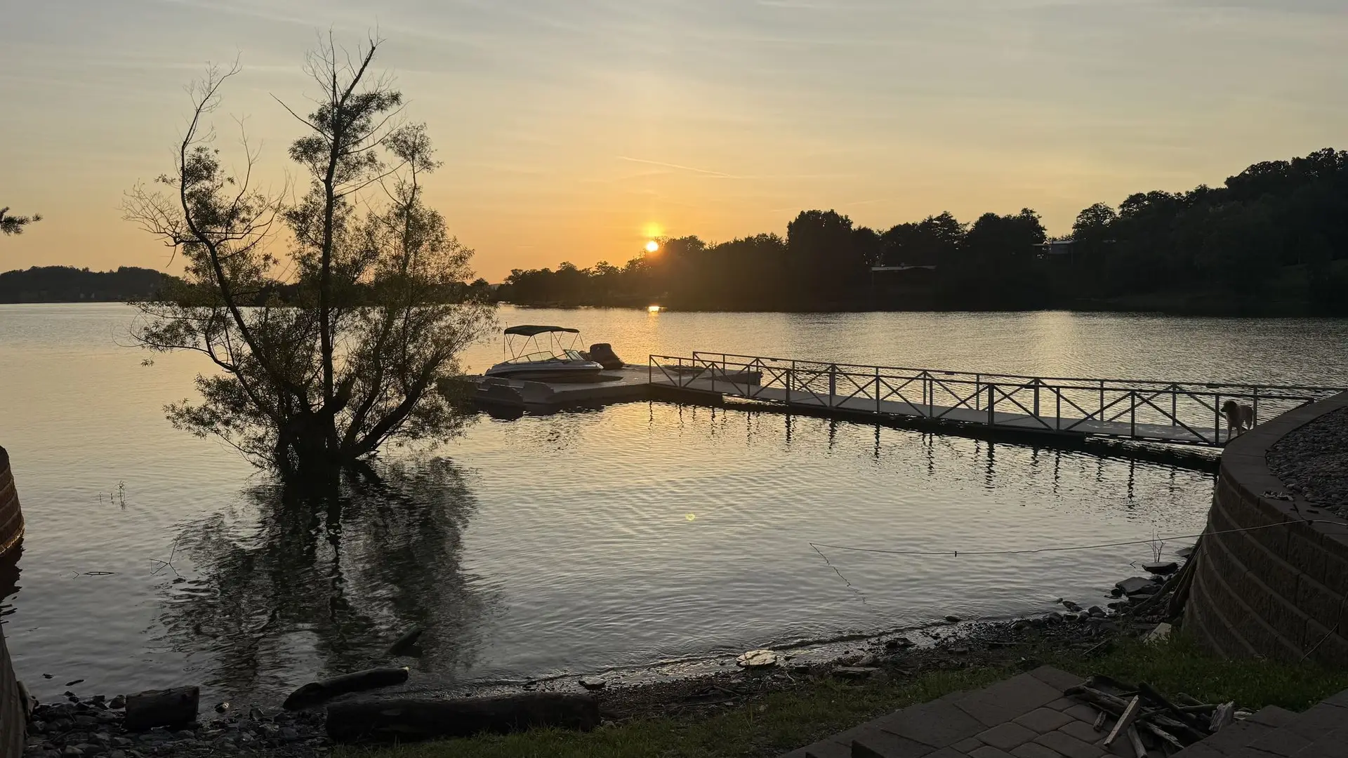 Golden sunset behind a tree on the flooded shoreline with the dock beyond